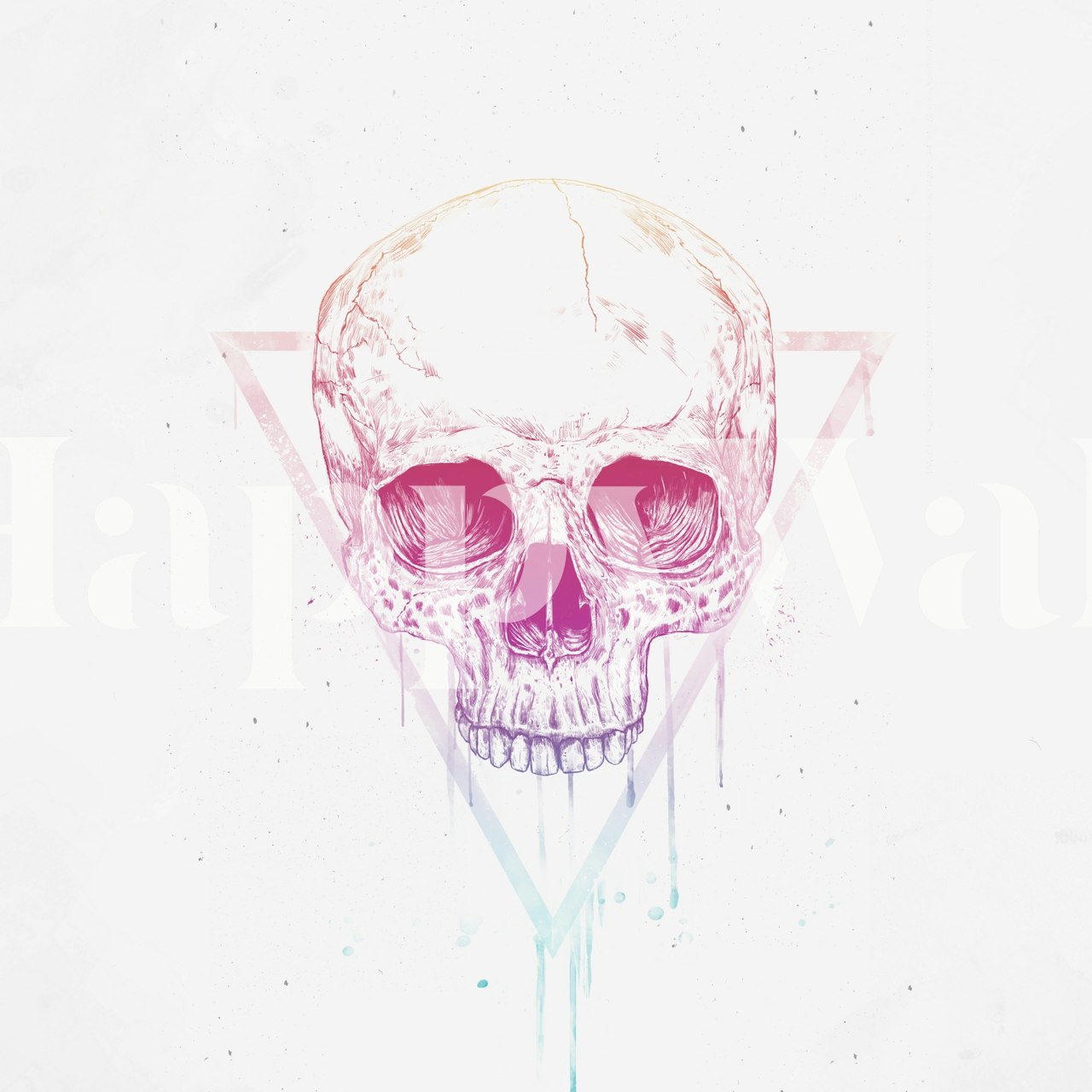 Intricate skull illustration in a pink and blue triangle on white wallpaper