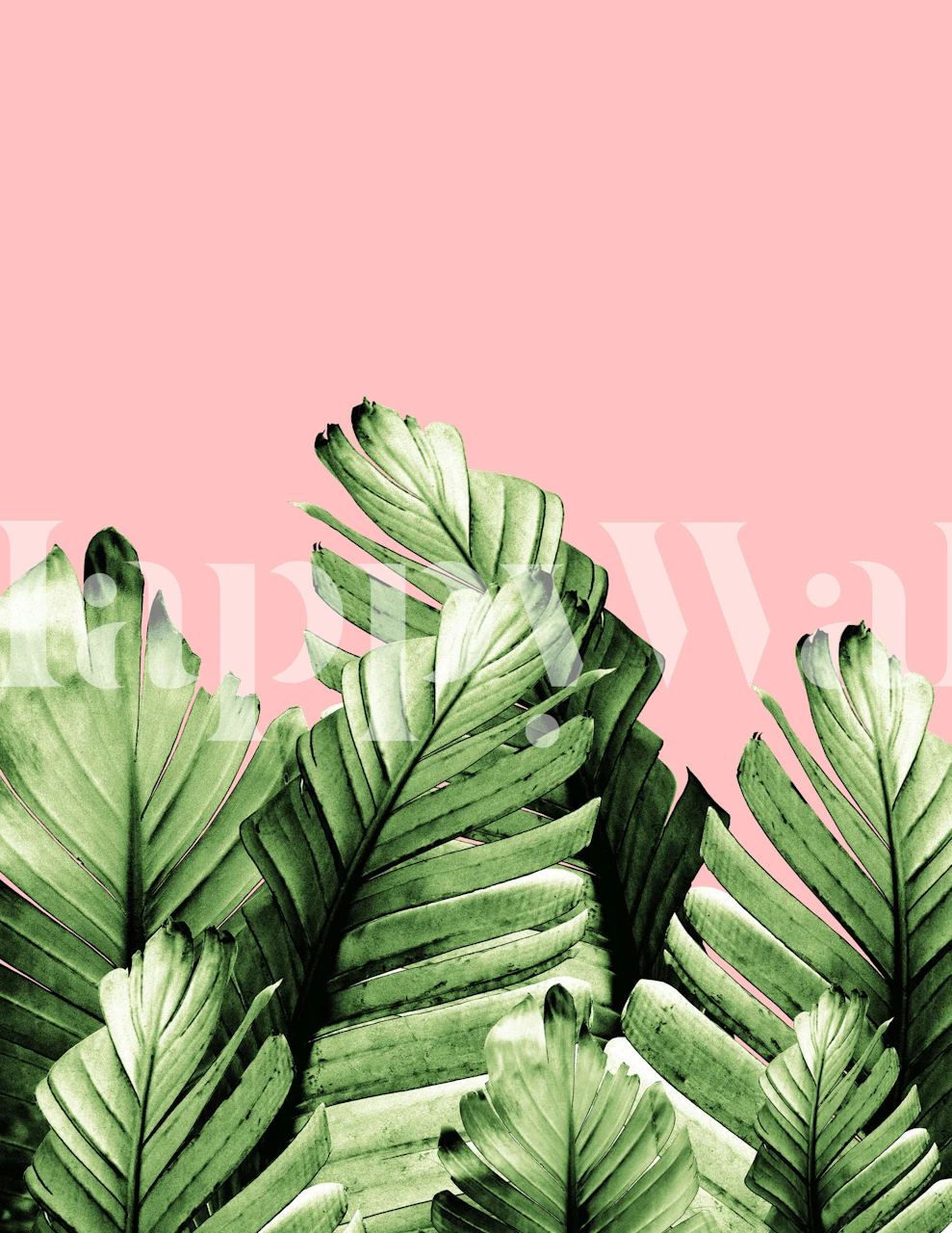 Grønne bananblader på rødrosa bakgrunnsveggmaleri