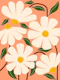 Wild Daisies - peach