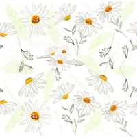 Spring time daisies tapete