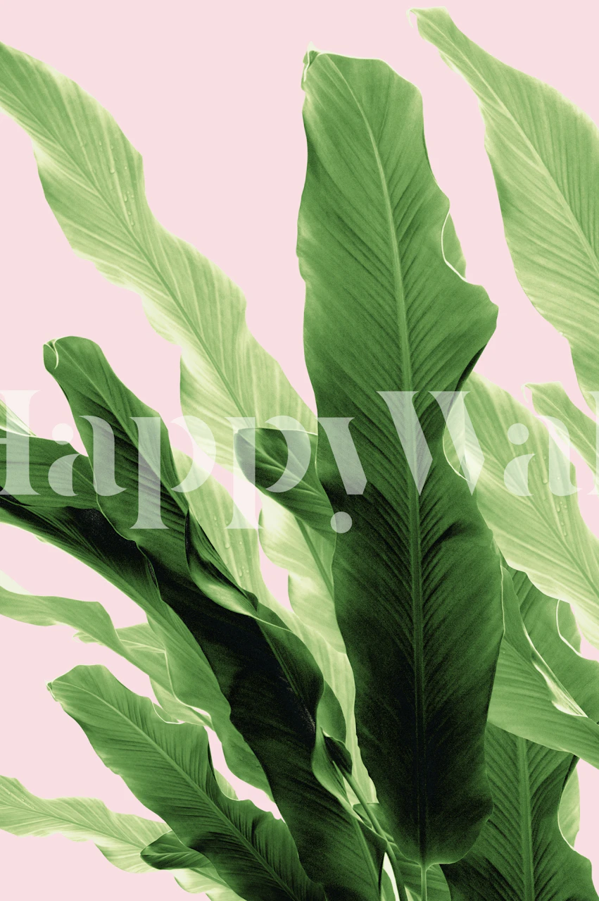 Tropical banana leaf pattern wallpaper