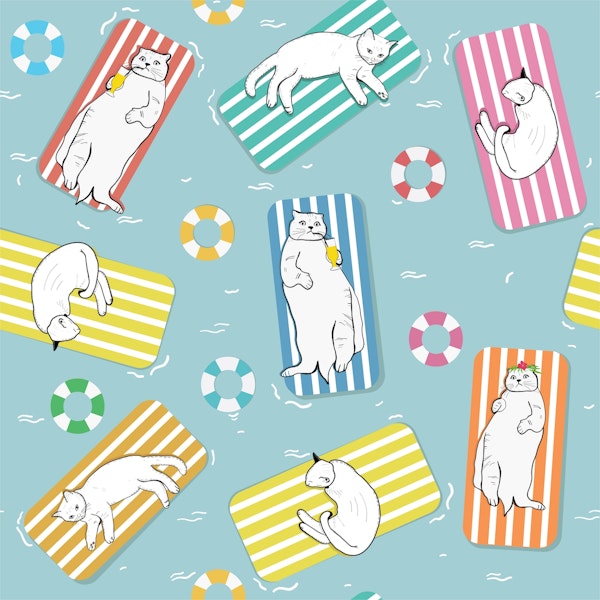 Hand drawn funny cats