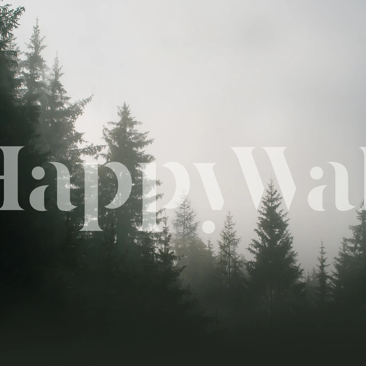 Dark fog enshrouded forest wall mural with tree silhouettes
