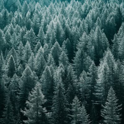 Τοιχογραφία