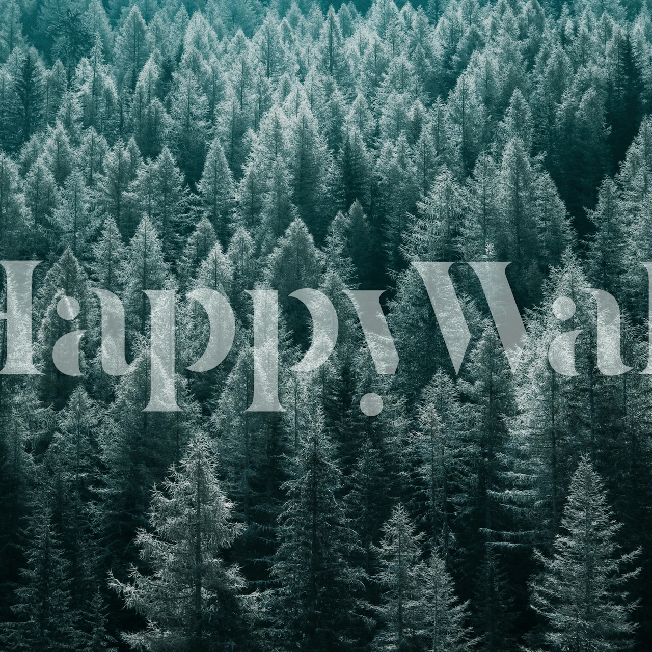 Dense green evergreen trees wallpaper