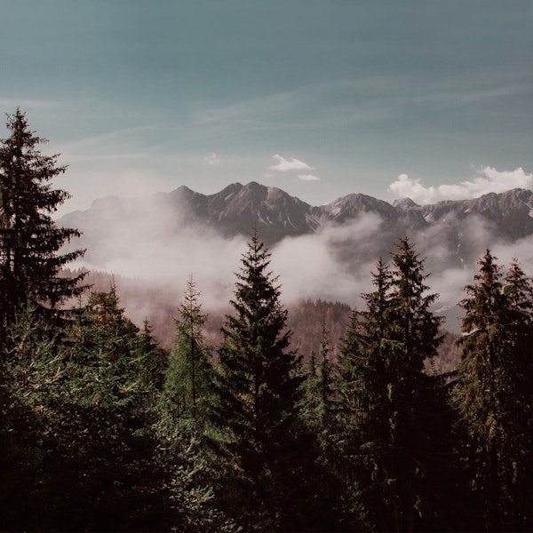 Mountain Morning View