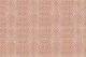 Boho Ikat Geo terracotta
