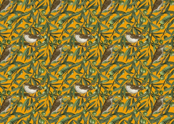 Birds in the olive tree 2