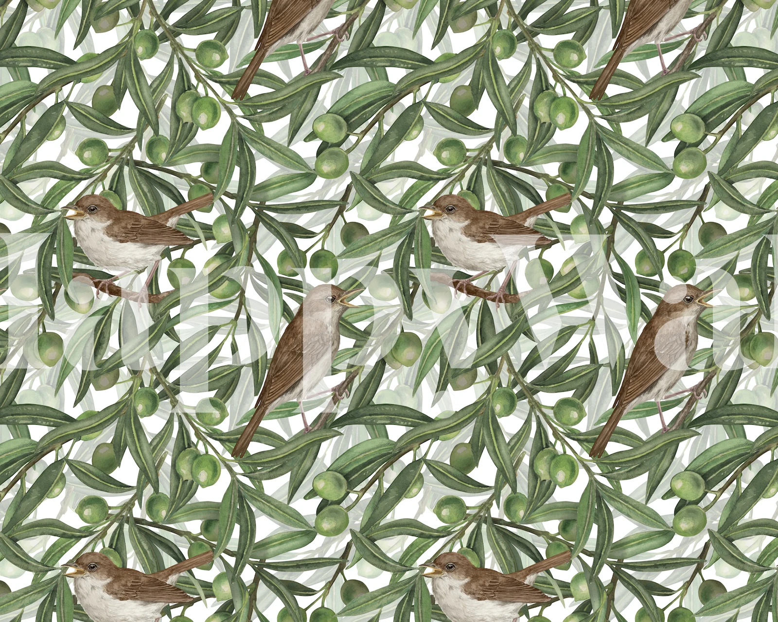 Tapet med Bird Wallpaper featuring birds in olive leaves
