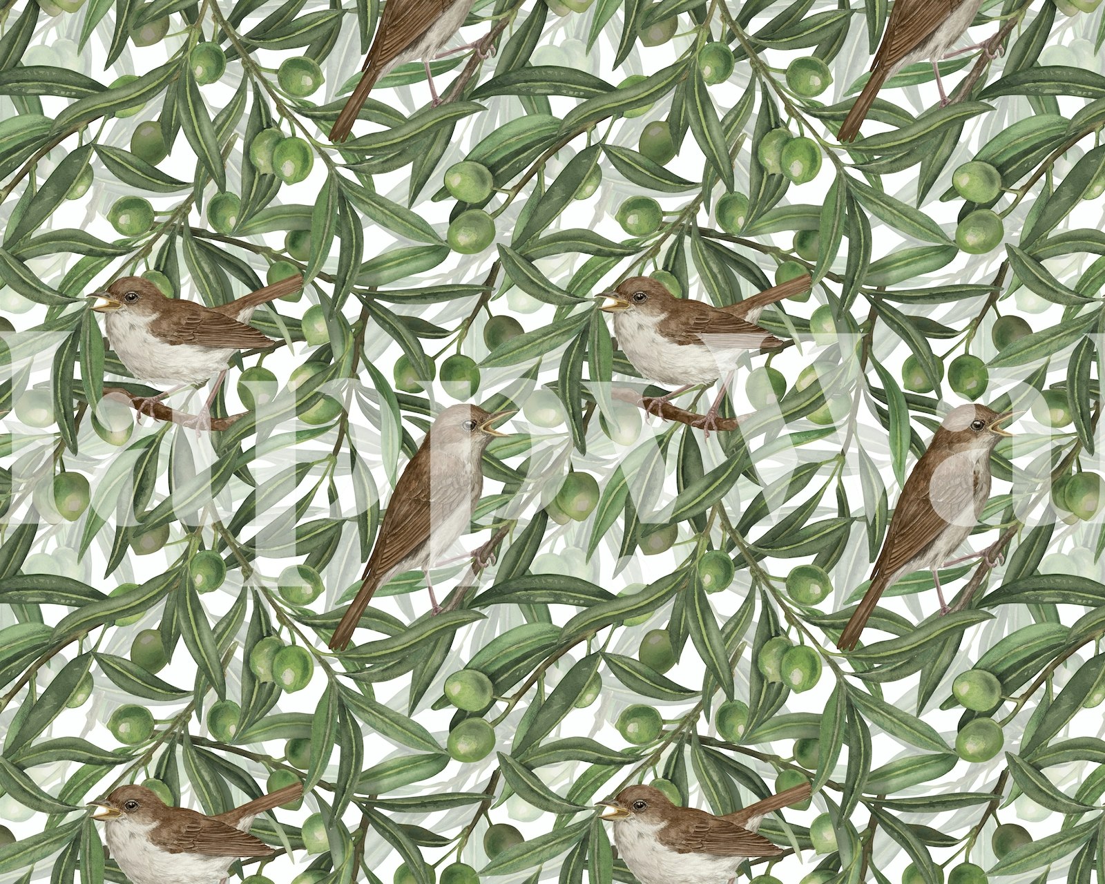 Tapet med Bird Wallpaper featuring birds in olive leaves
