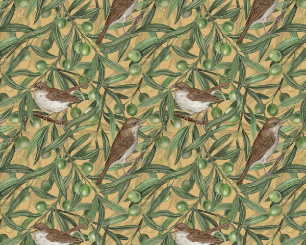 Birds in the olive tree 6