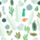 Cactus and flowers tropical
