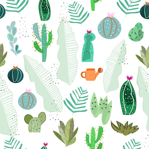 Cactus and flowers tropical