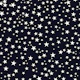 Shining golden and white star