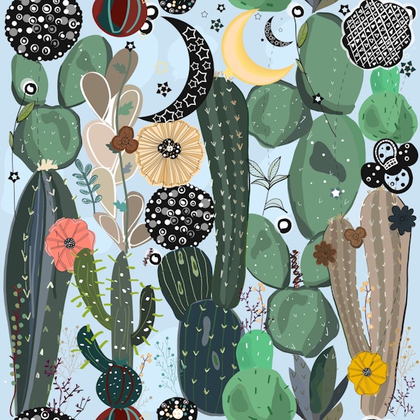 Succulents moon and stars