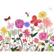 Spring meadow flowers