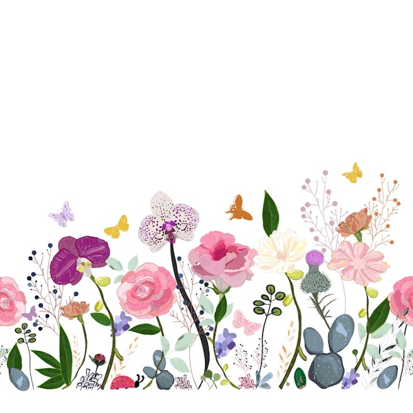 Spring meadow illustration