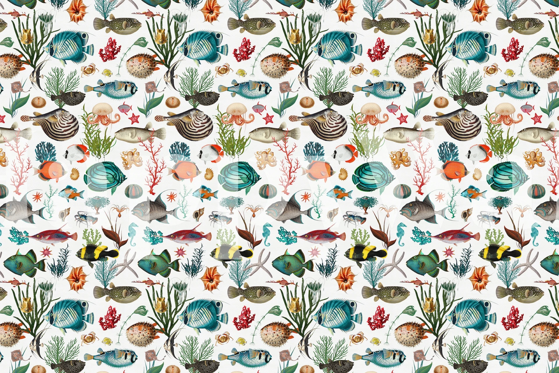 Oceania in White wallpaper displayed in a room