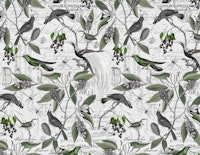 Vintage Magnolia And Birds tapeta