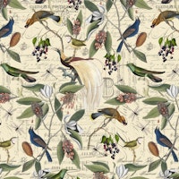 Nostalgic Bird And Magnolia wallpaper