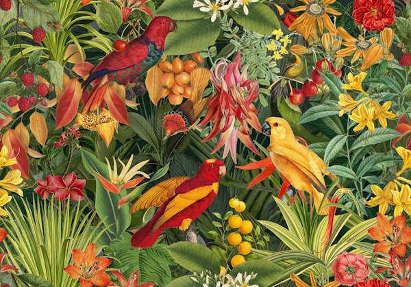 Tropical Parrots Jungle Garden