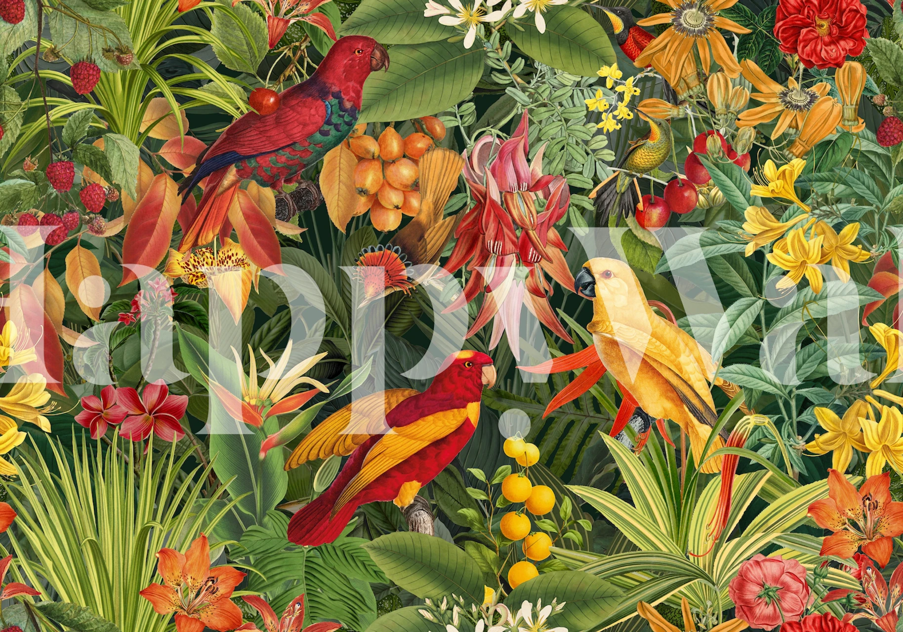 Tropical parrots surrounded by vibrant flowers and leaves wallpaper