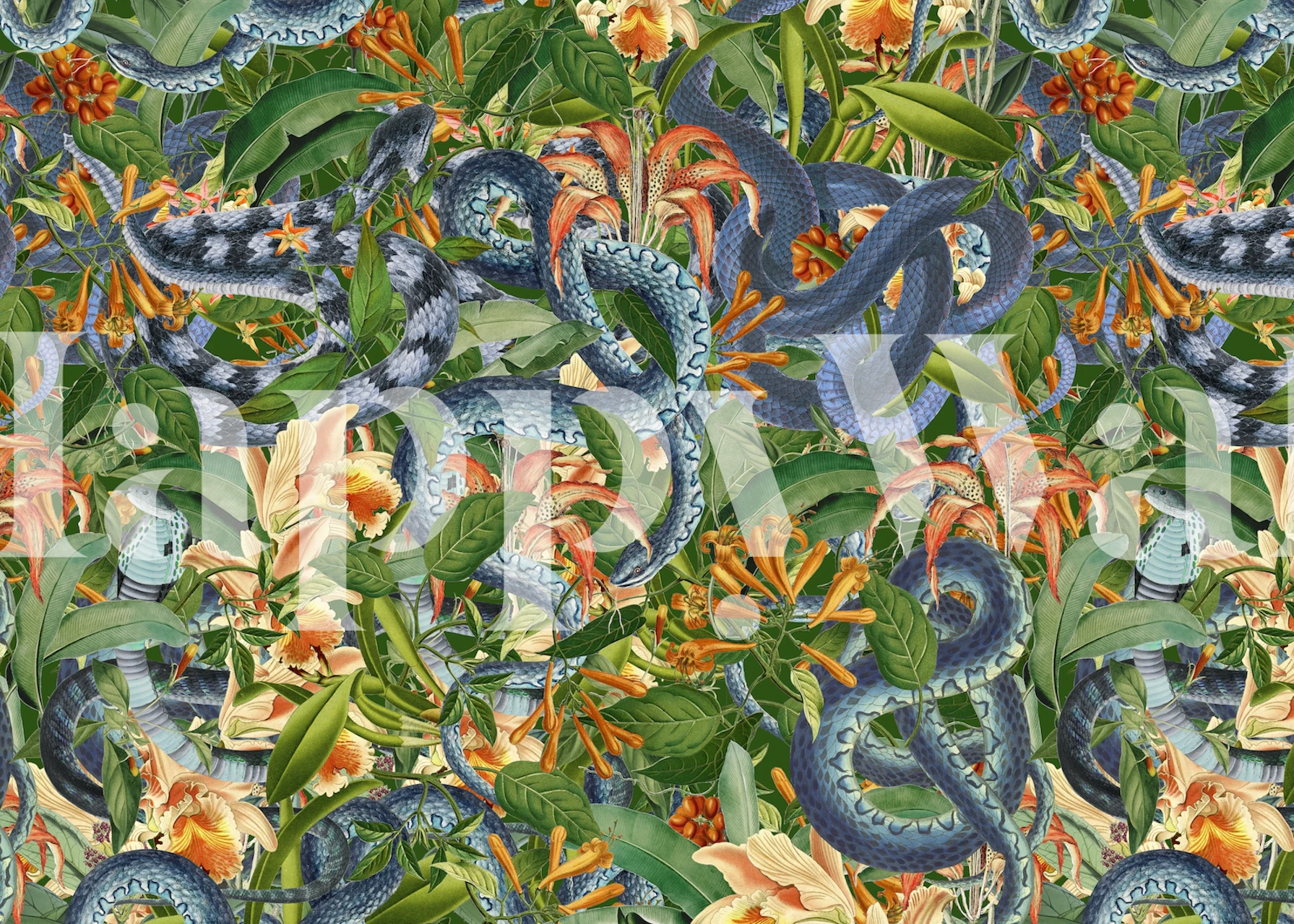 Tapeta Snake Jungle Paradise u sobi