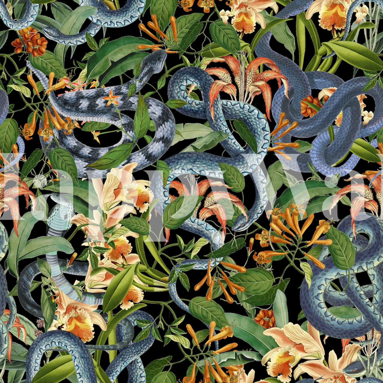 Colorful snakes and flowers on a black background wallpaper