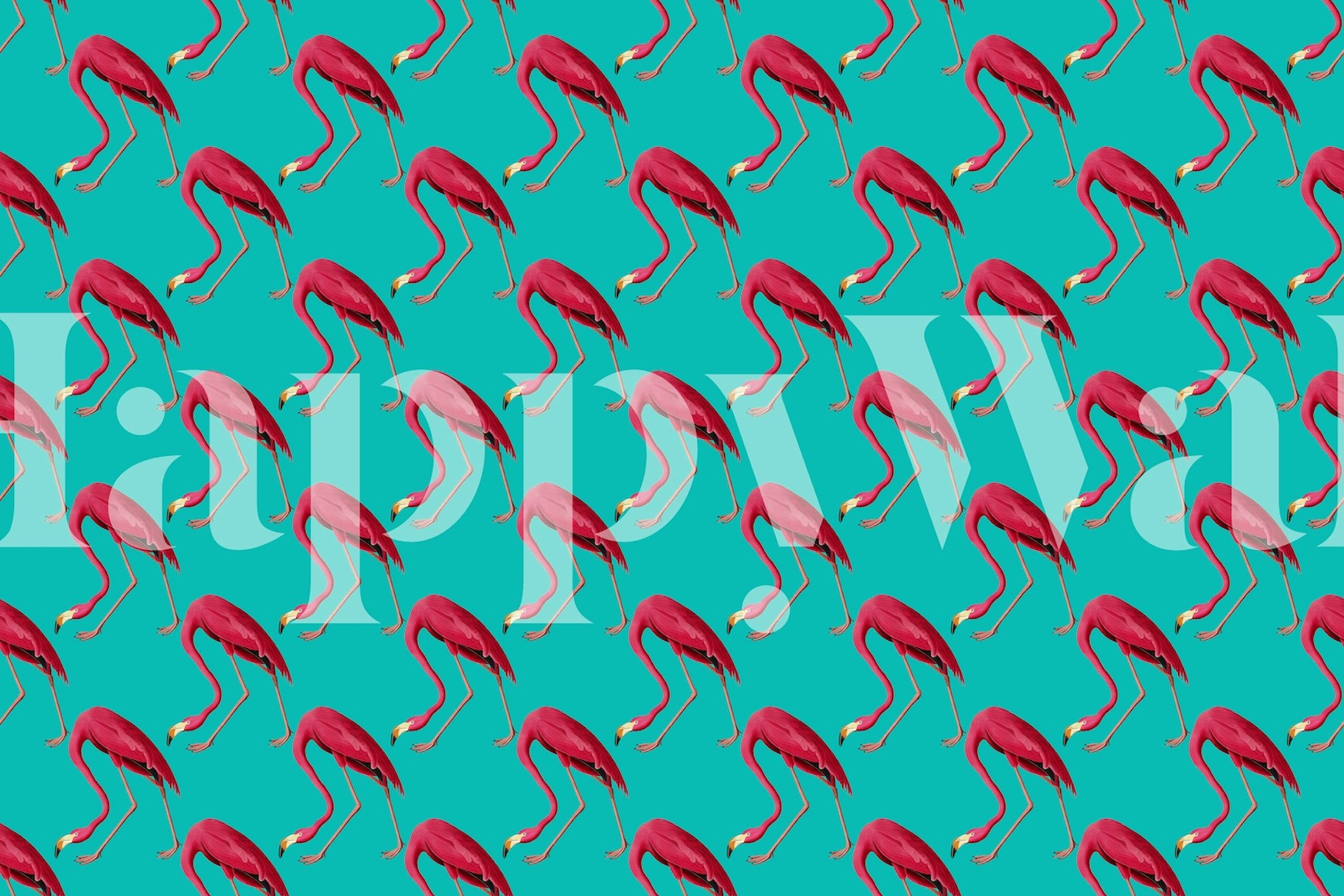 Pink flamingo wallpaper on turquoise wall