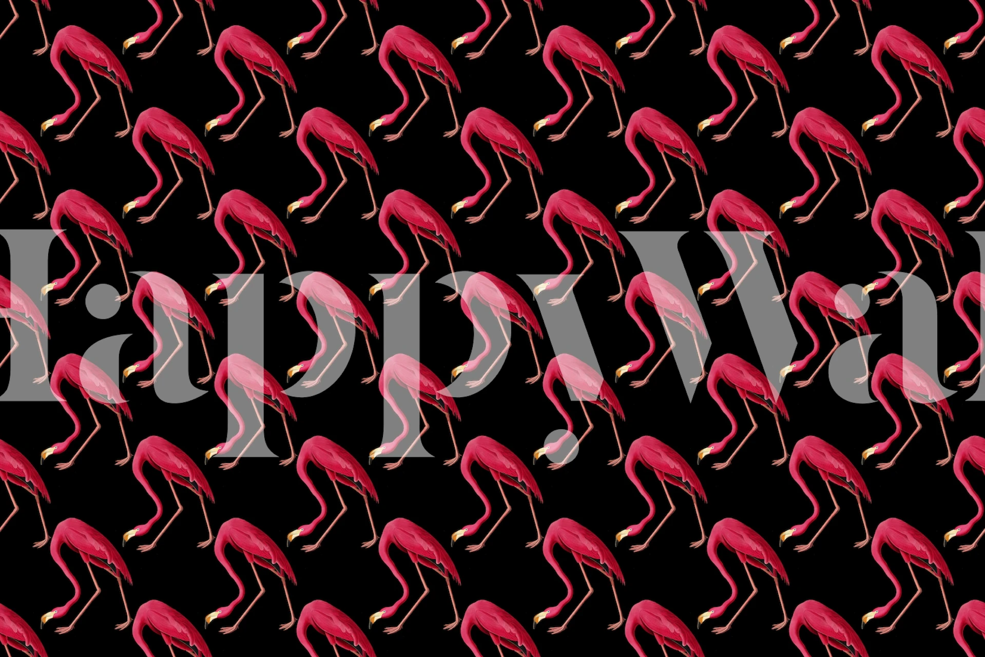 Pink flamingos pattern on black background wallpaper
