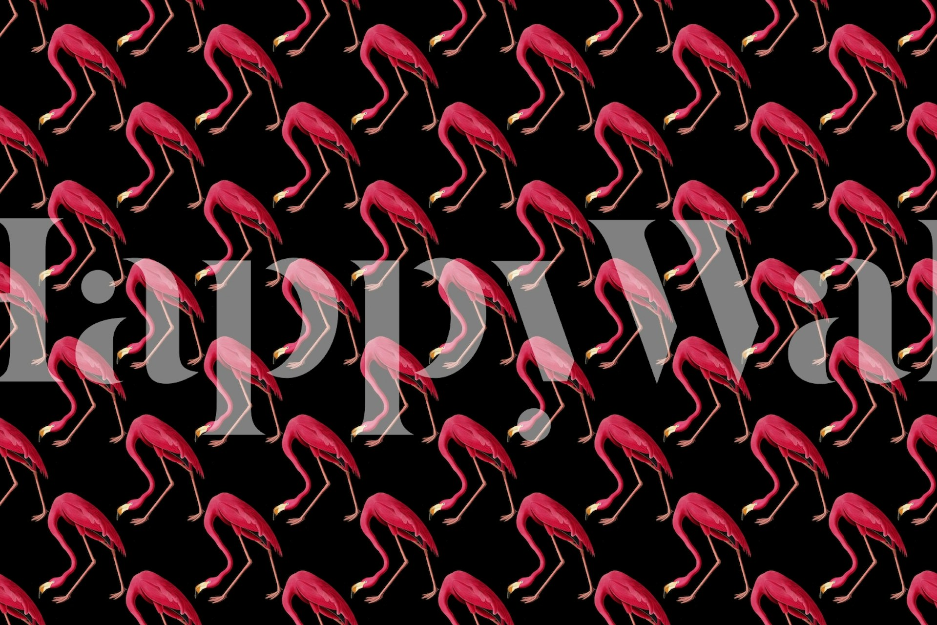 Pink flamingos pattern on black background wallpaper