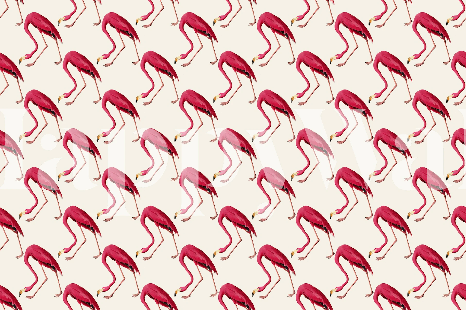 Flamingo wallpaper design in a room