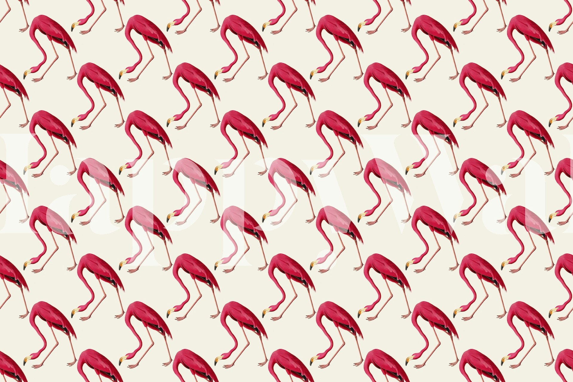 Flamingo wallpaper design in a room