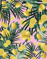 Summer Lemon Twist Jungle 6 wallpaper