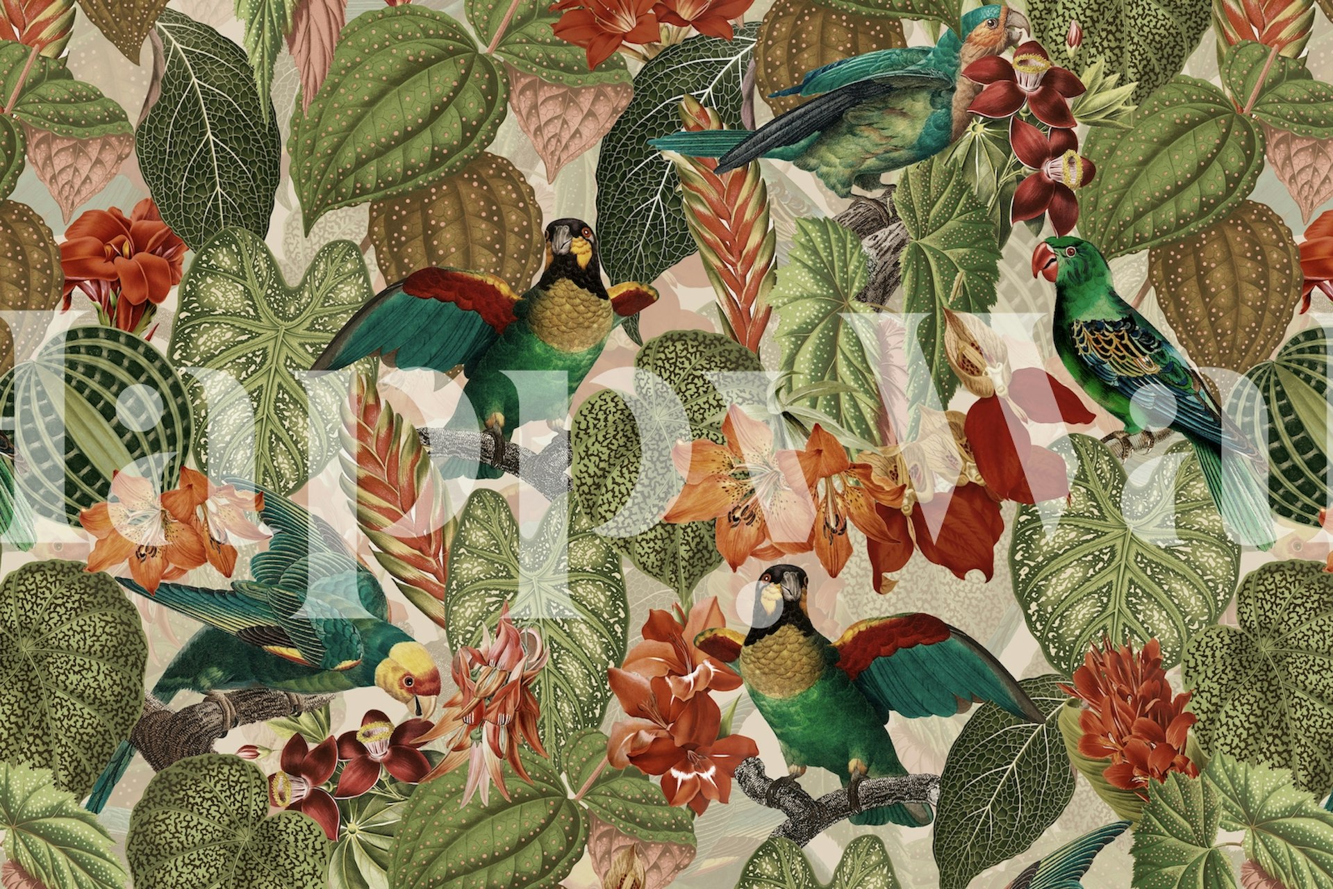 Tropical Bird Garden 6 wallpaper displayed in a room