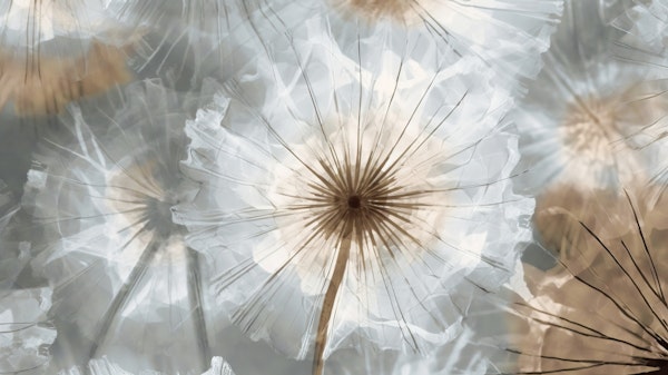 Abstract Dandelion Meadow 1