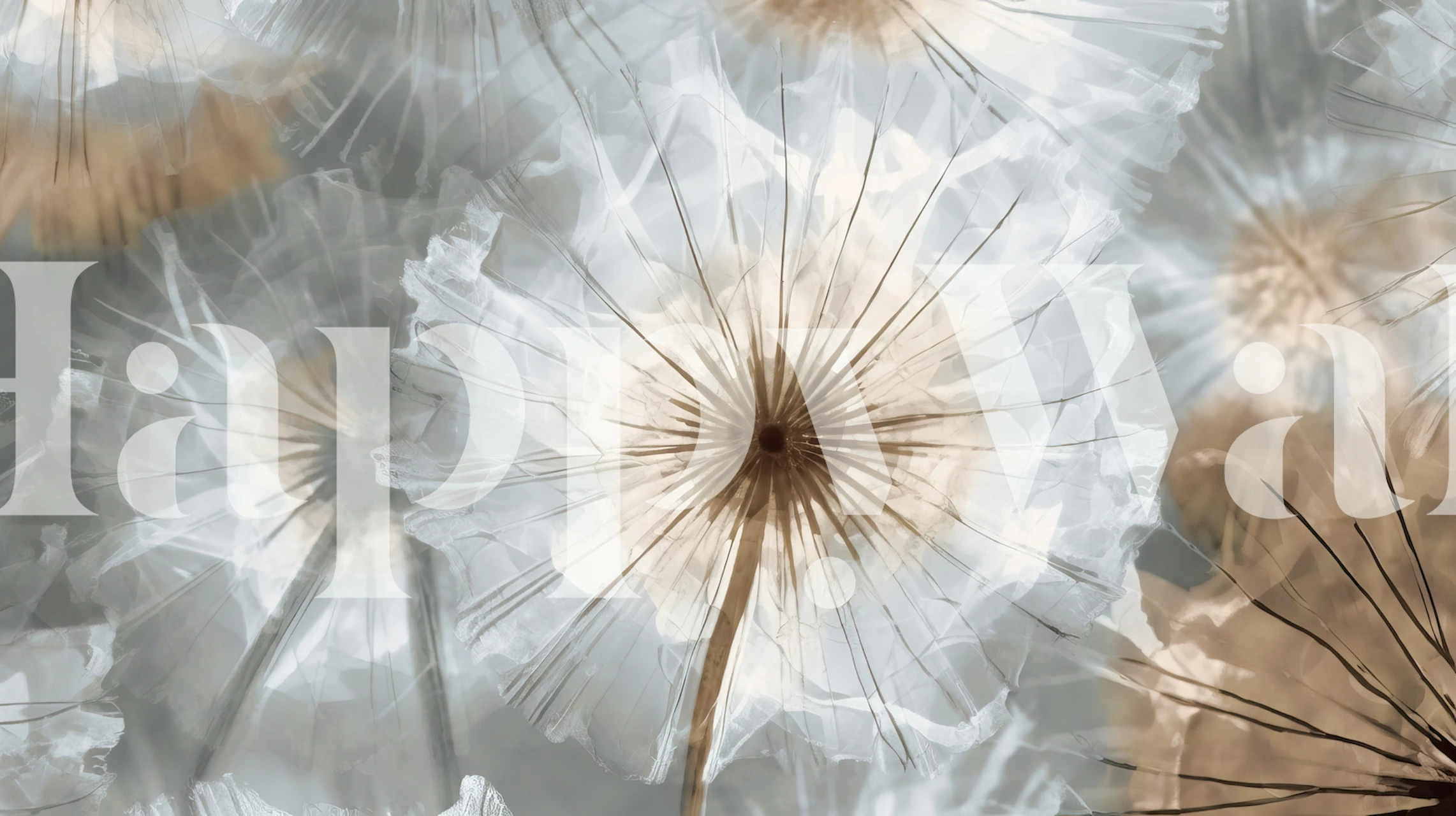 Abstract Dandelion Meadow w pokoju