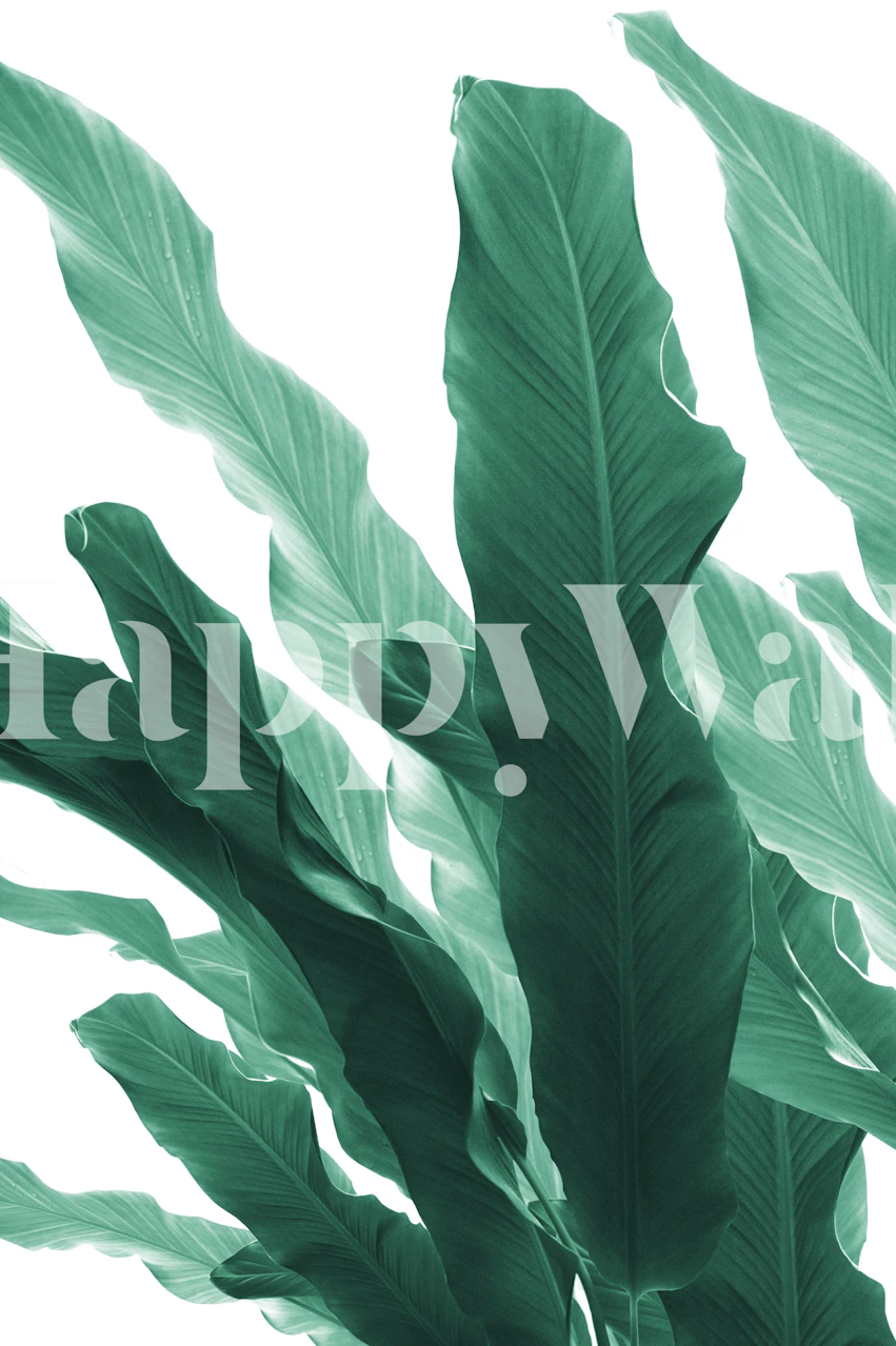 Green banana leaves wallpaper with a tropical feel