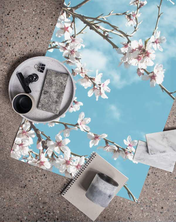 Flowering Almond Tree wallpaper - Free shipping | Happywall