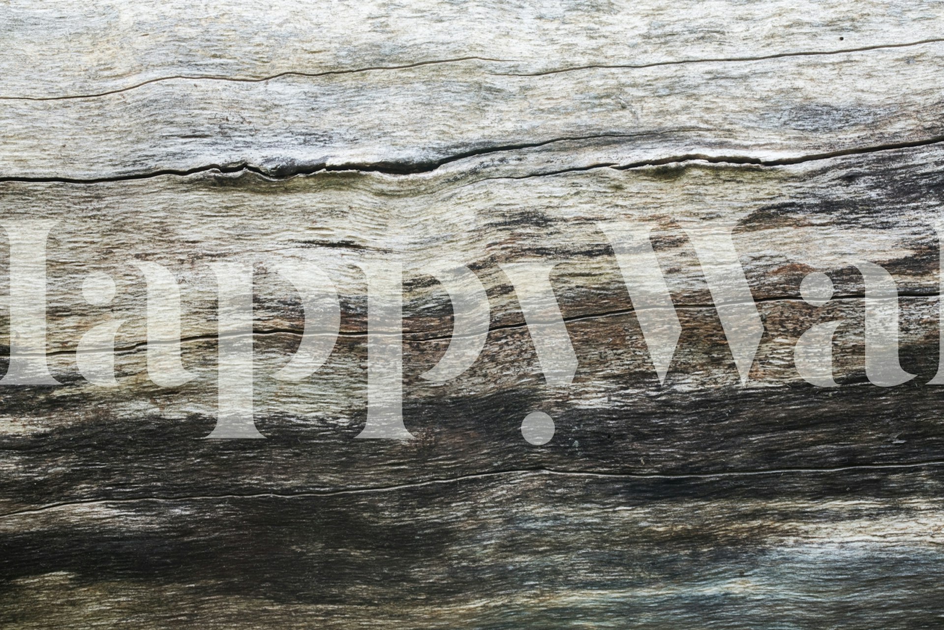 Rustic wood grain texture in gray and brown tones wallpaper