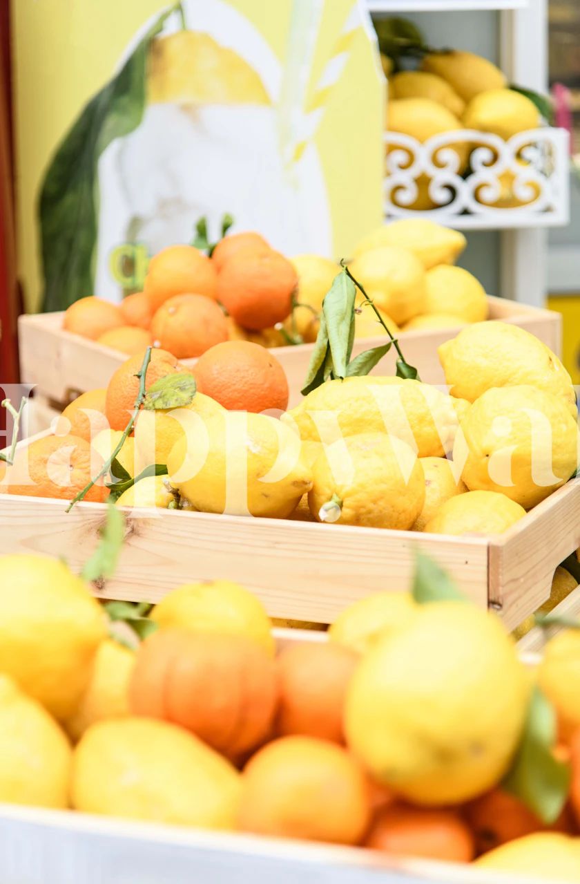 Amalfi lemons ja oranges tapetti huoneessa