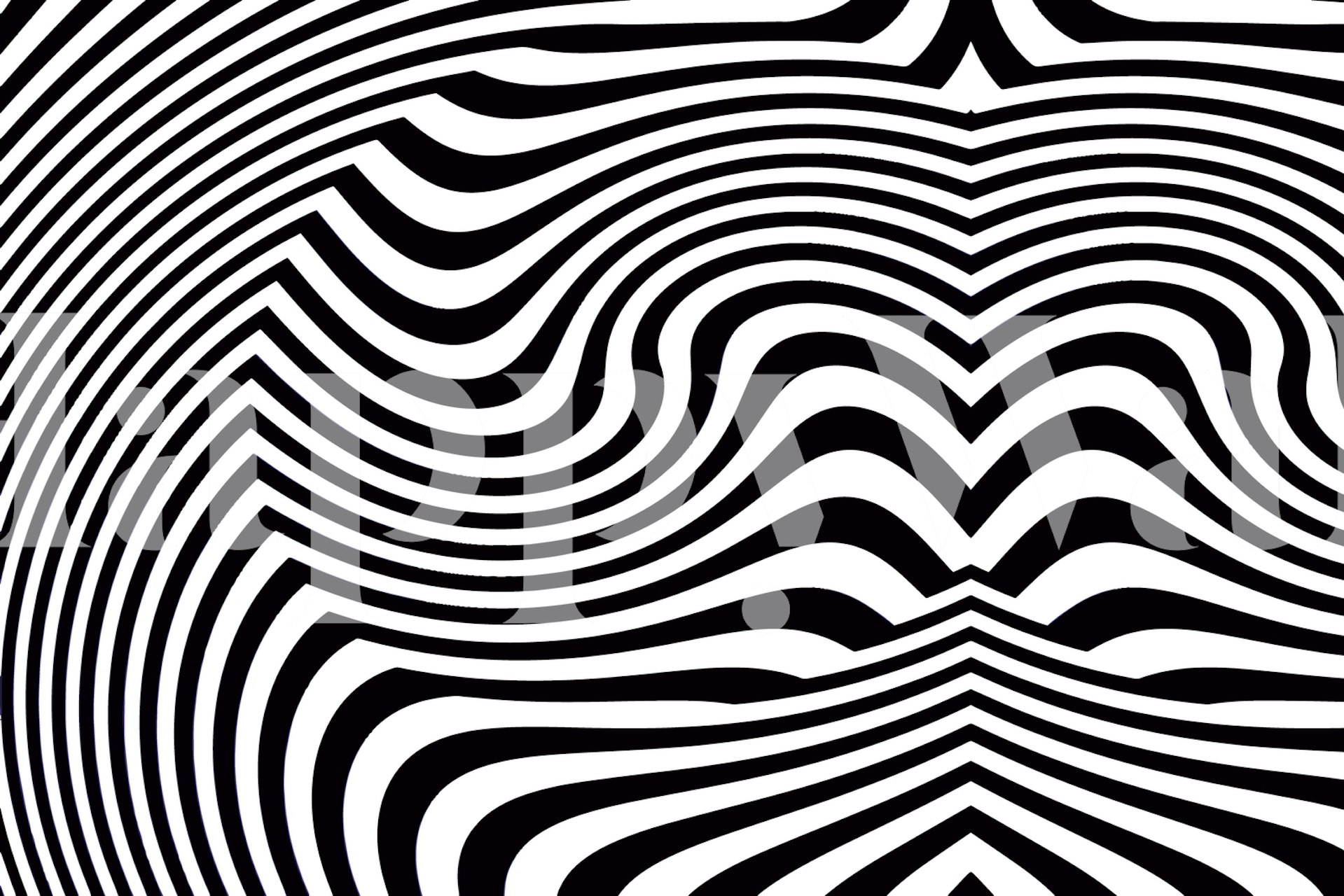 Stunning Black and White Optical Illusion Wallpaper design for interior walls