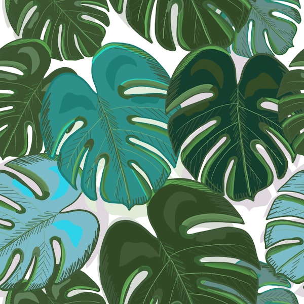 Tropical colorful monstera