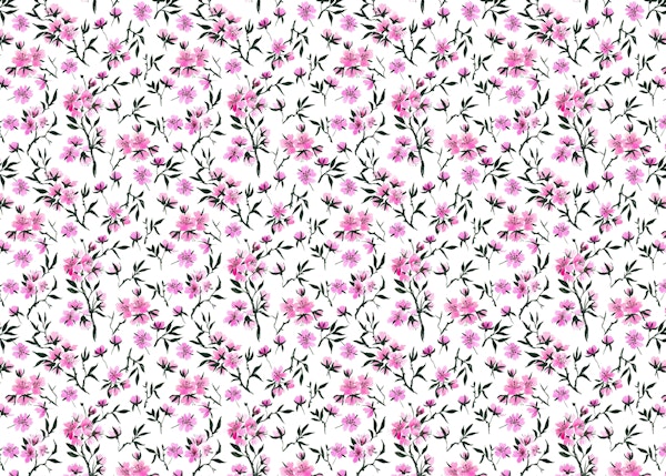 White cherry blossom 3