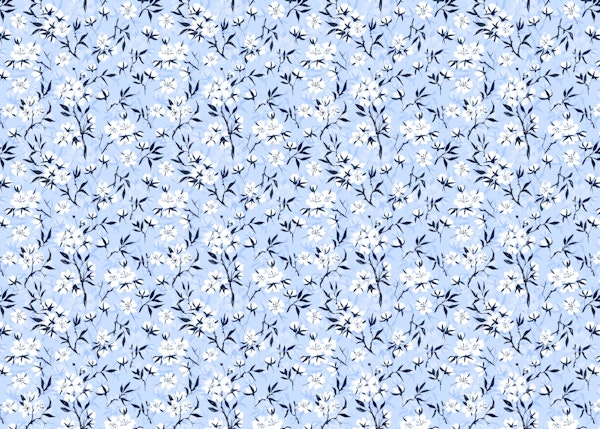 White cherry blossom 4