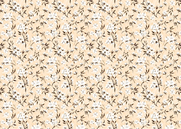 White cherry blossom 5