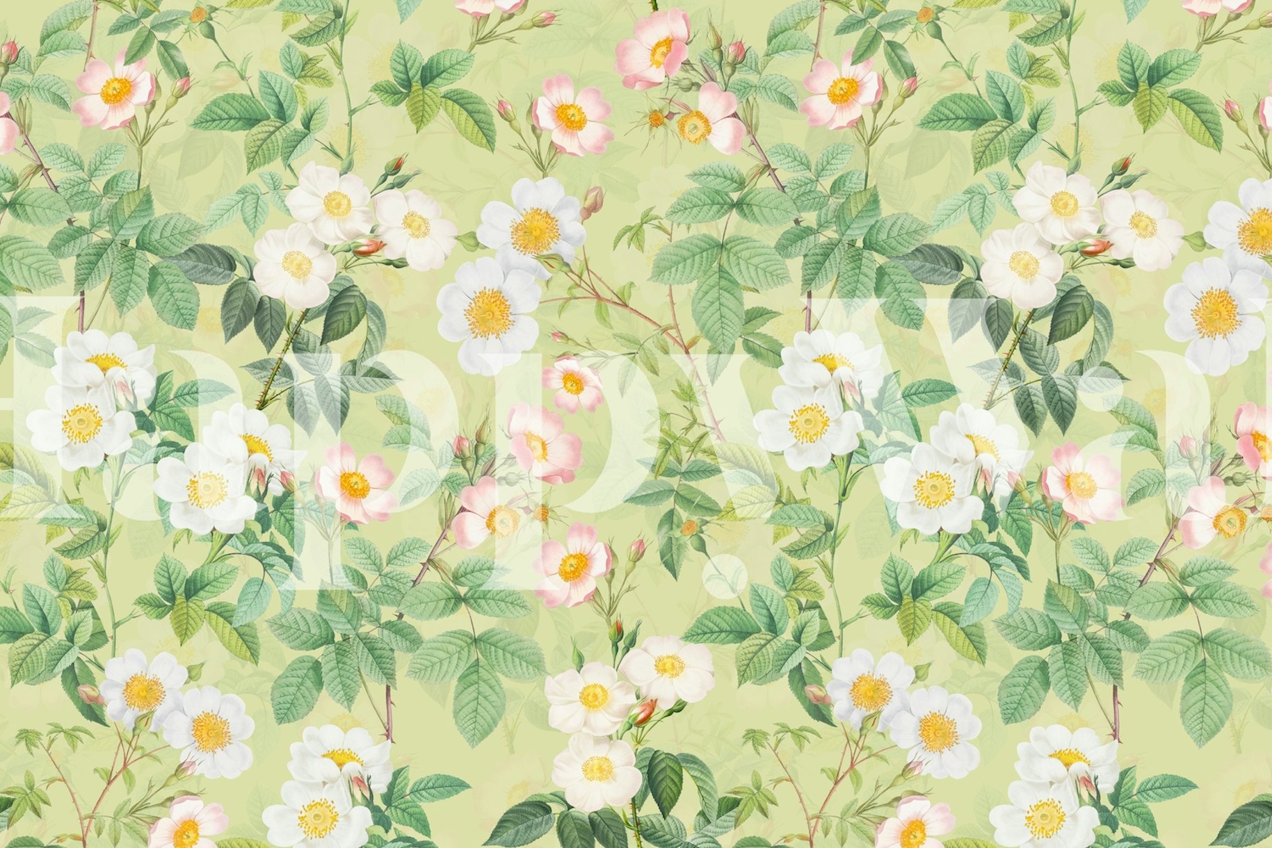 Redoute Roses Garden 4 Wallpaper Buy Floral Wallpaper Online