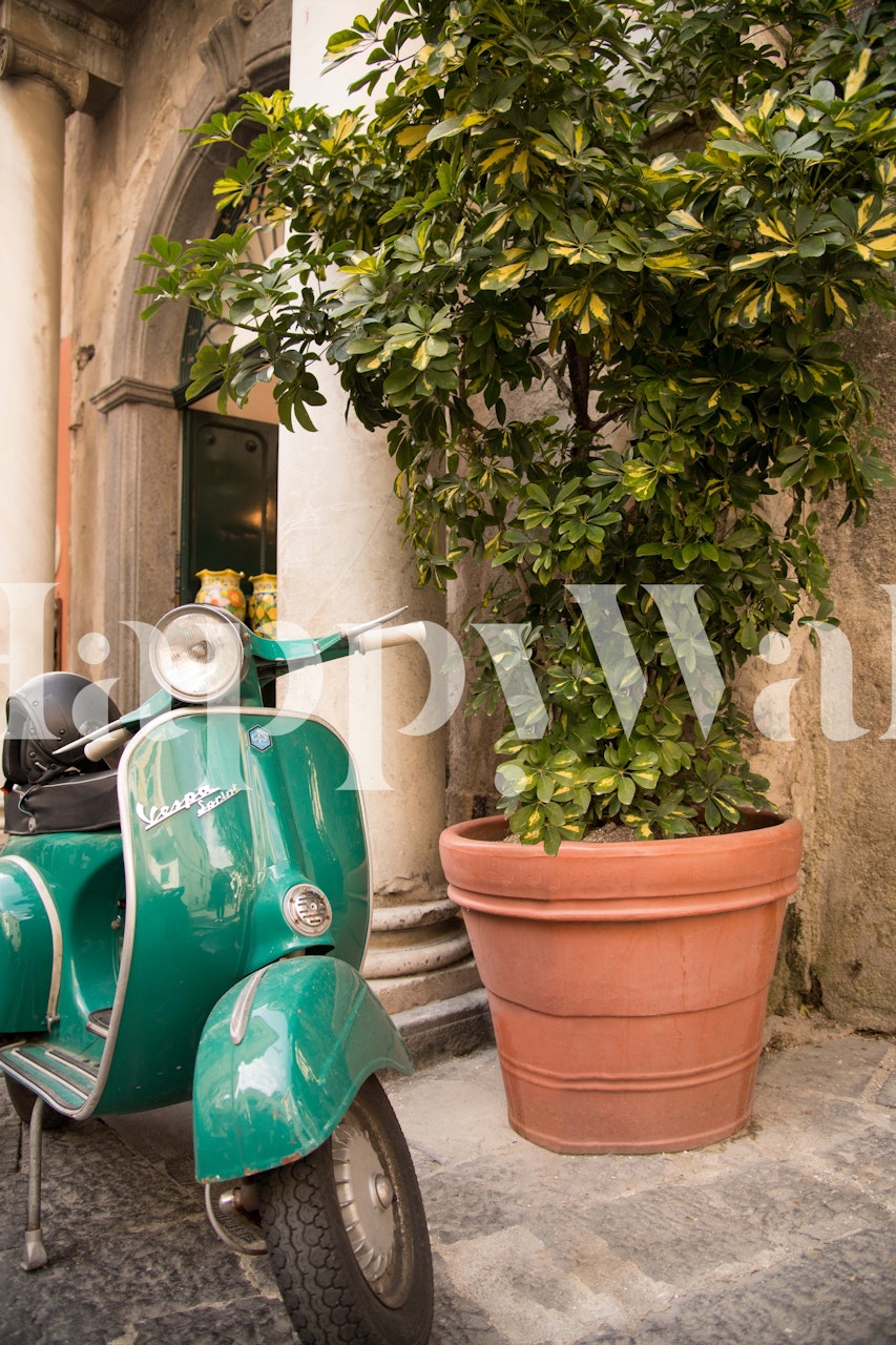Vintage vihreä skootteri pysäköitynä vanhalle italialaiselle kujalle, jossa on suuri terrakottaruukkukasvi.