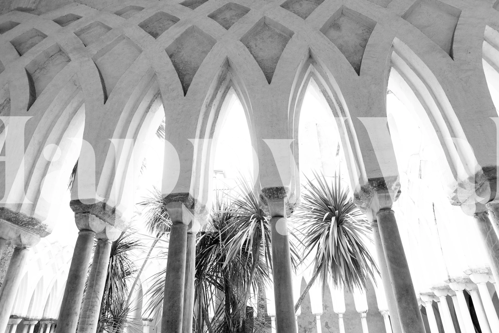 Black and white architectural wallpaper with arches, columns, and palm trees