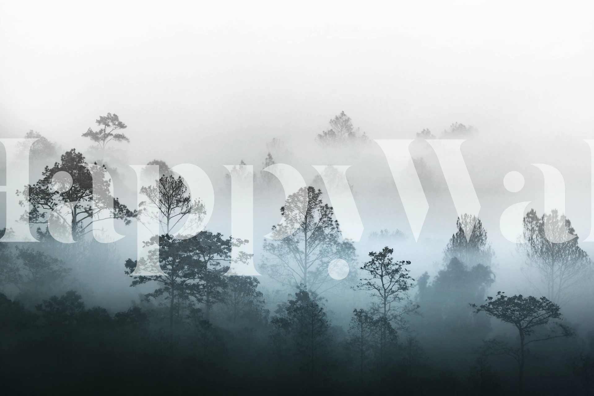 Misty forest wall mural with a gradient of fog descending through trees